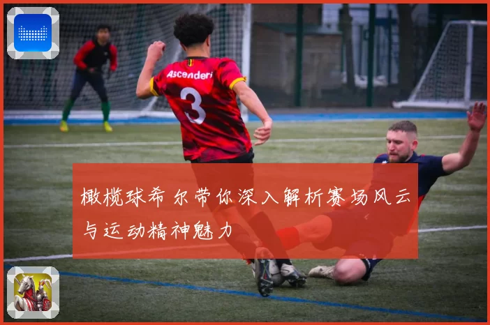 橄榄球希尔带你深入解析赛场风云与运动精神魅力