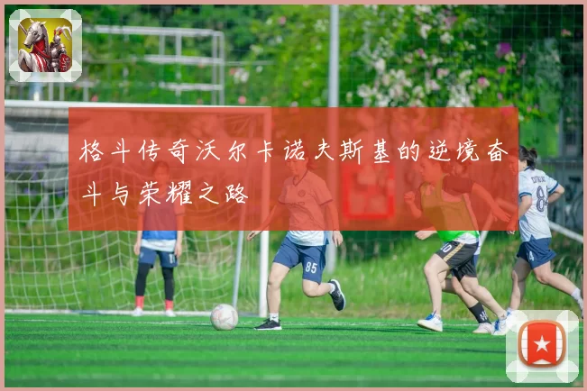 格斗传奇沃尔卡诺夫斯基的逆境奋斗与荣耀之路