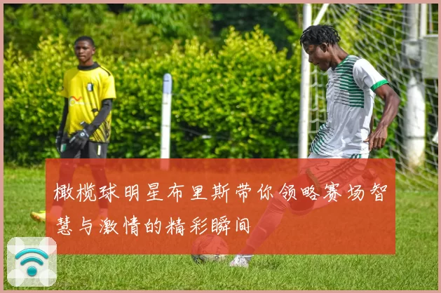 橄榄球明星布里斯带你领略赛场智慧与激情的精彩瞬间
