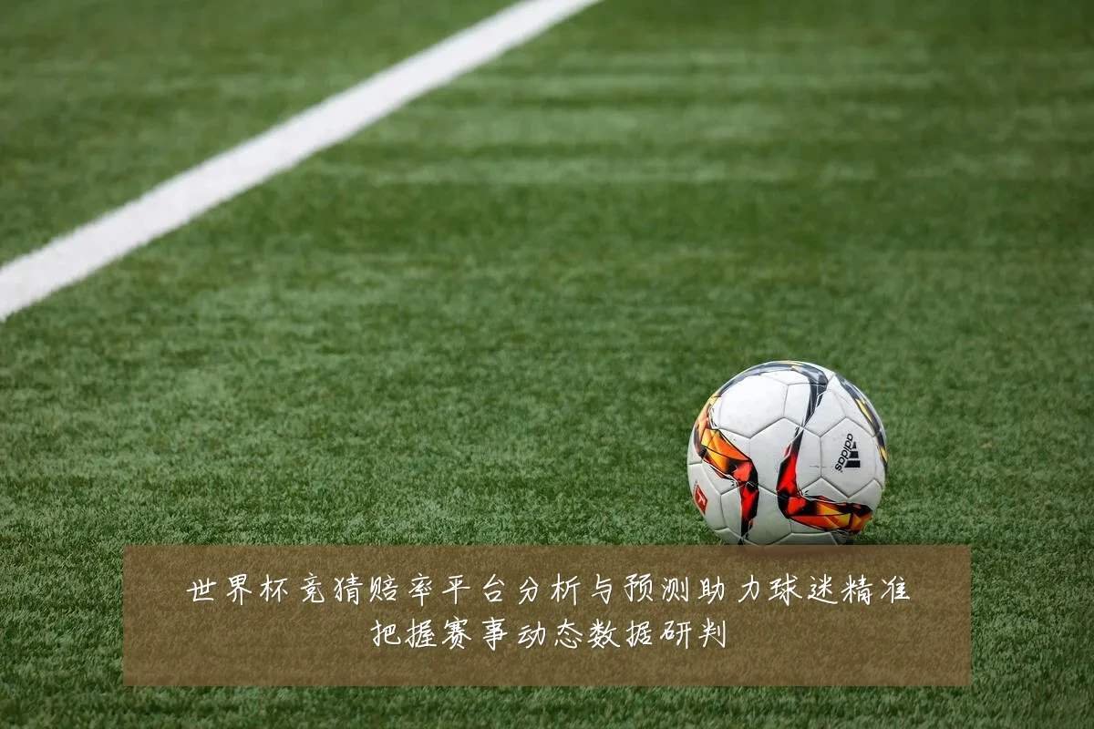 世界杯竞猜赔率平台分析与预测助力球迷精准把握赛事动态数据研判
